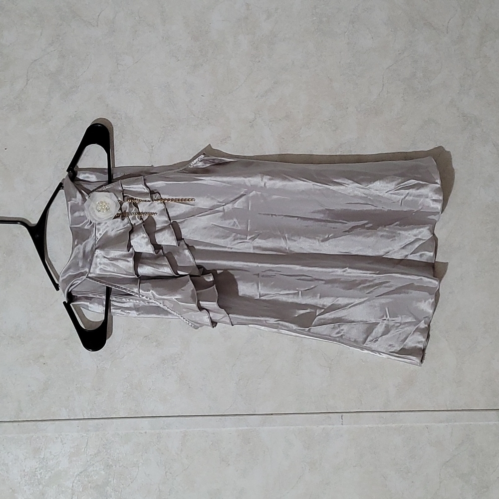 IZ Byer Silver Blouse